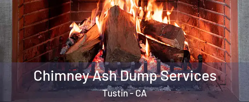  Chimney Ash Dump Services Tustin - CA