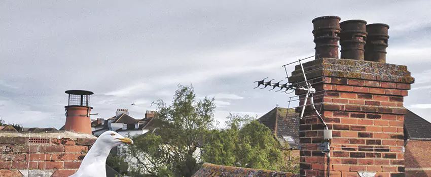 Chimney Cleaning And Restoration in Tustin, California