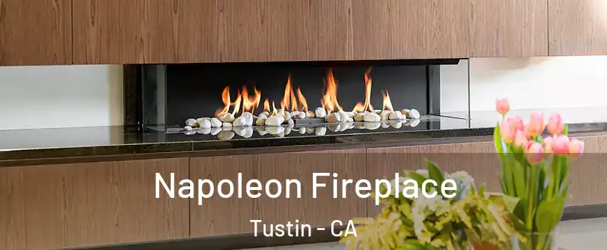  Napoleon Fireplace Tustin - CA